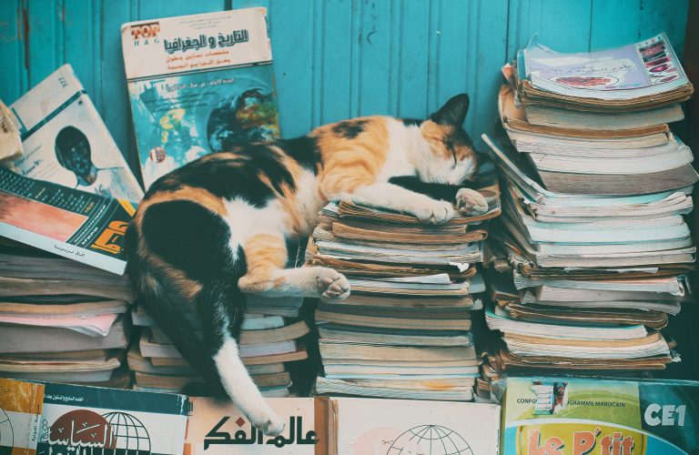 Do I Need a Bookkeeper? Choose the Smarter Path - ANOBS