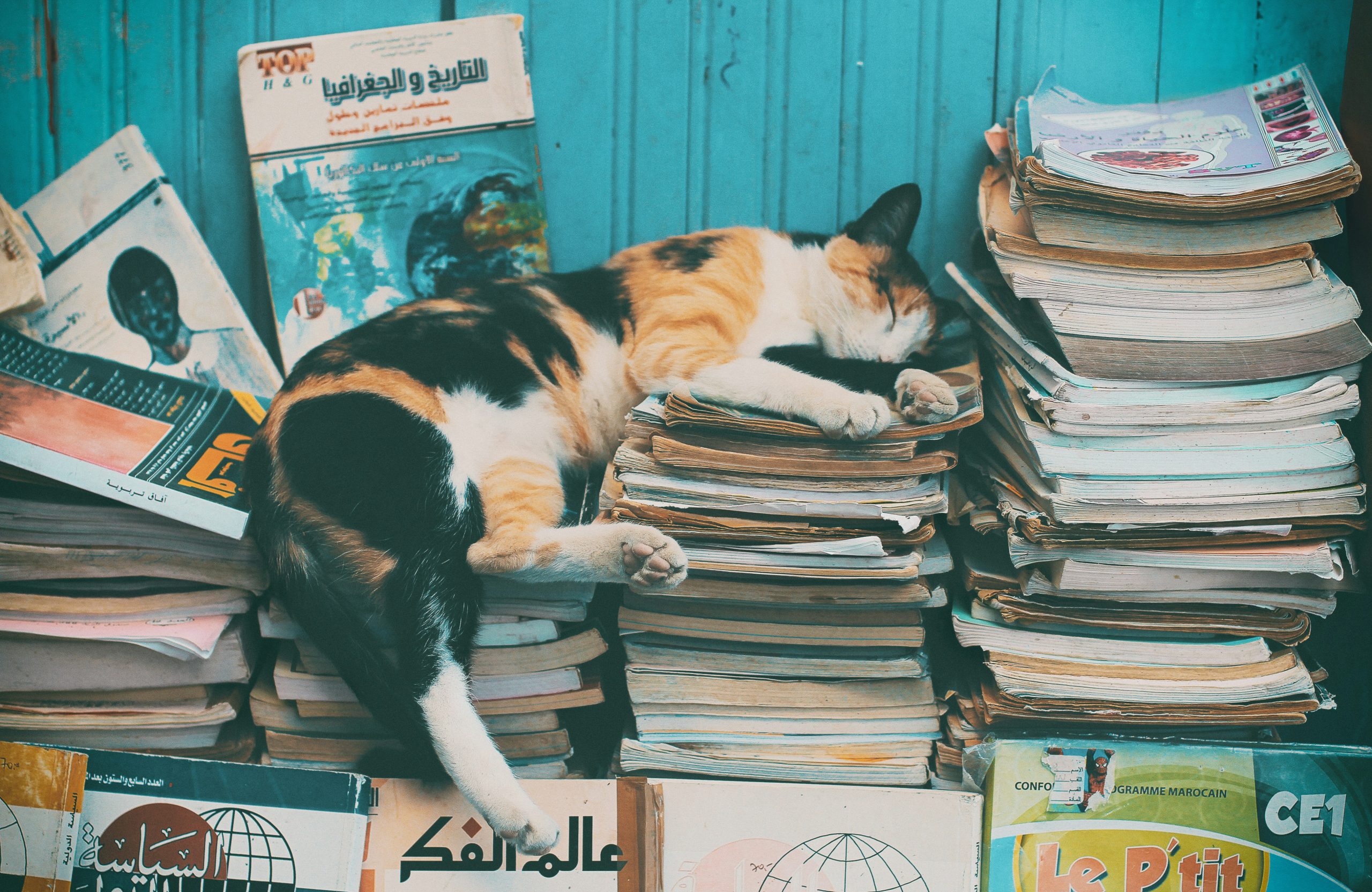Do I Need a Bookkeeper? Choose the Smarter Path - ANOBS